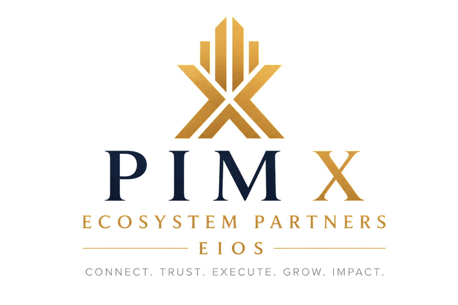 PIM X